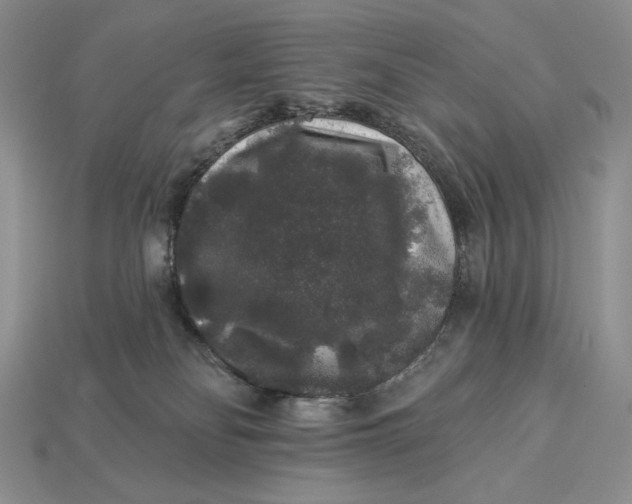 X0000112890134200909111512