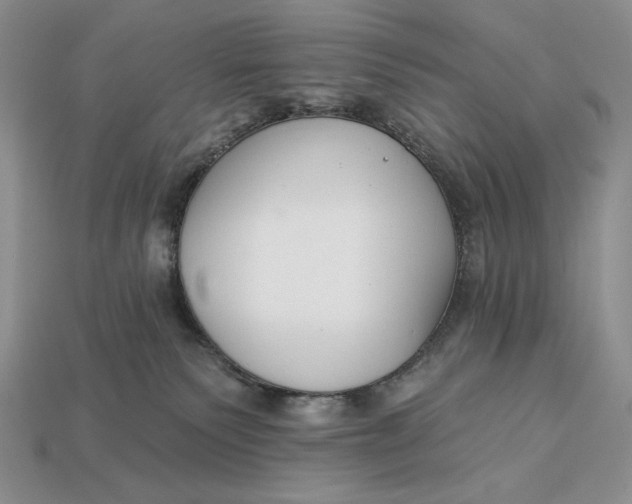 X0000112890135200909111512