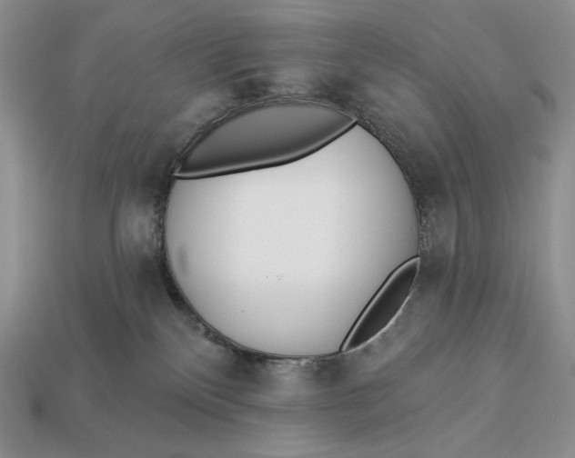 X0000112890136200909111512