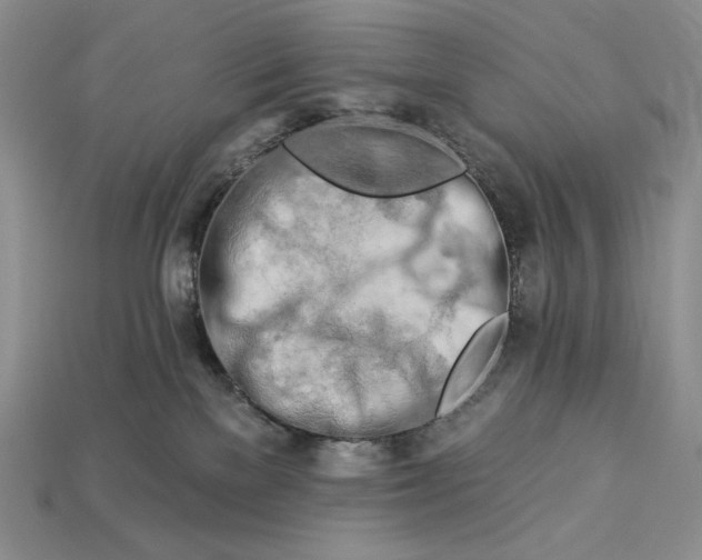 X0000112890137200909111512