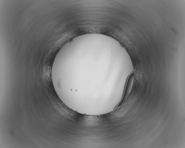 X0000112890141200909111511