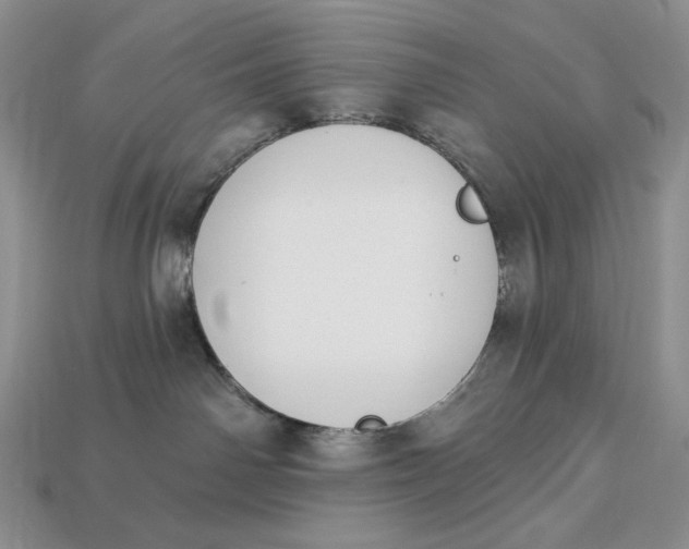 X0000112890142200909111511