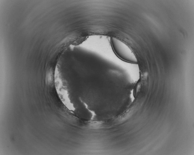 X0000112890143200909111511