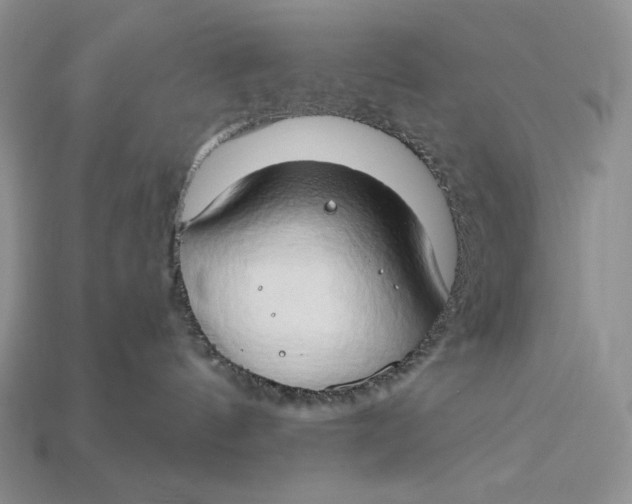 X0000112890144200909111511