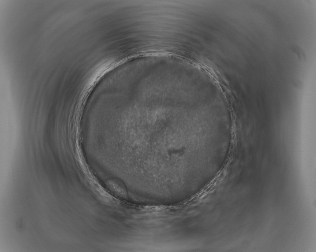 X0000112890145200909111511