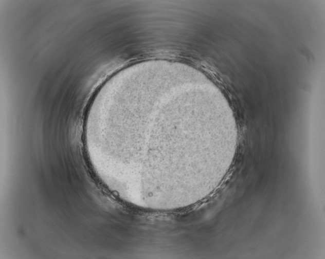 X0000112890146200909111511