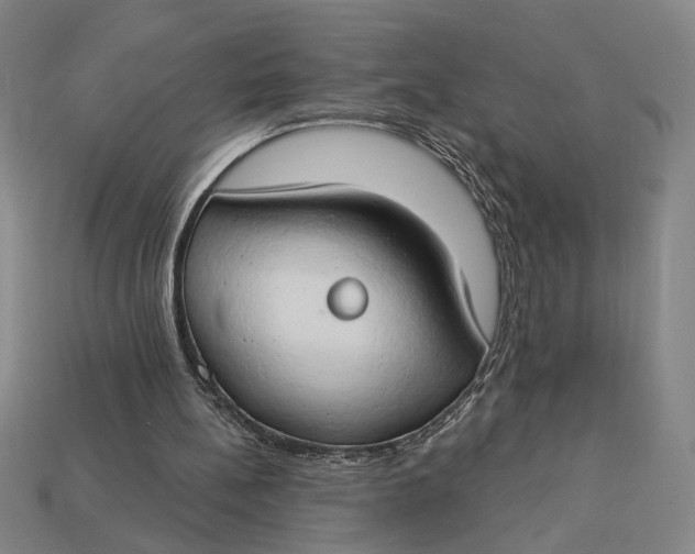 X0000112890148200909111511