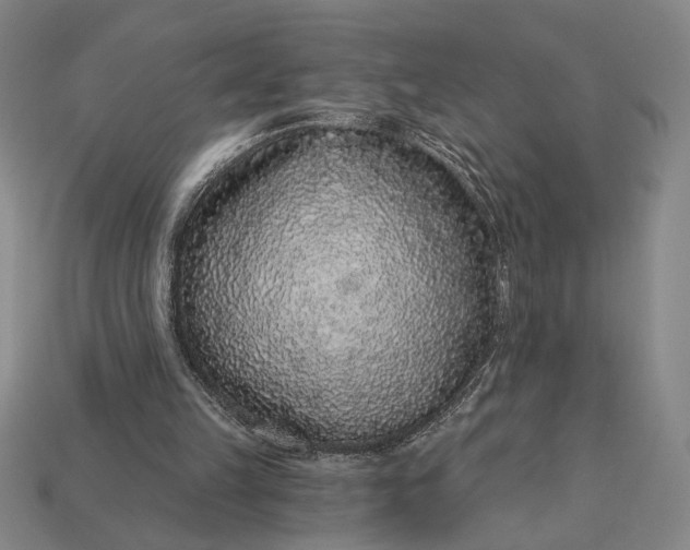 X0000112890149200909111511