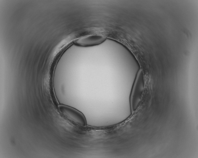 X0000112890150200909111511