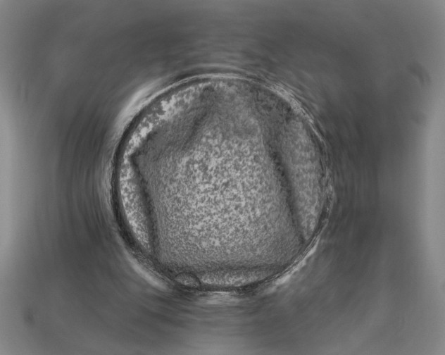 X0000112890151200909111511