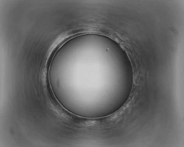 X0000112890152200909111511