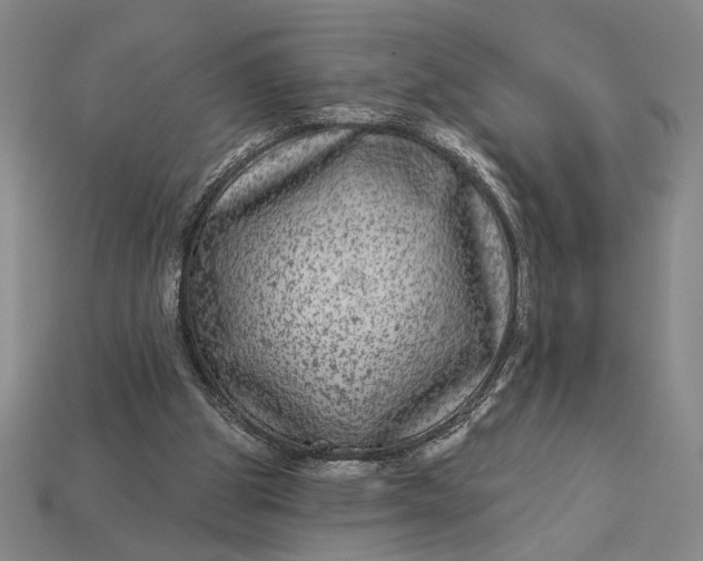 X0000112890153200909111511