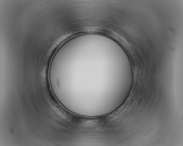 X0000112890155200909111511