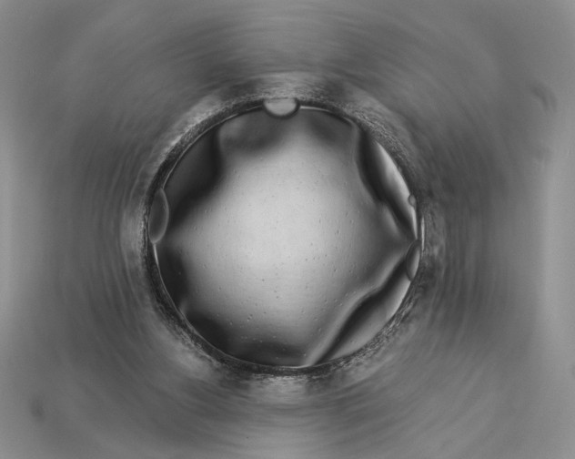 X0000112890156200909111511