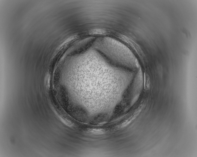 X0000112890157200909111511