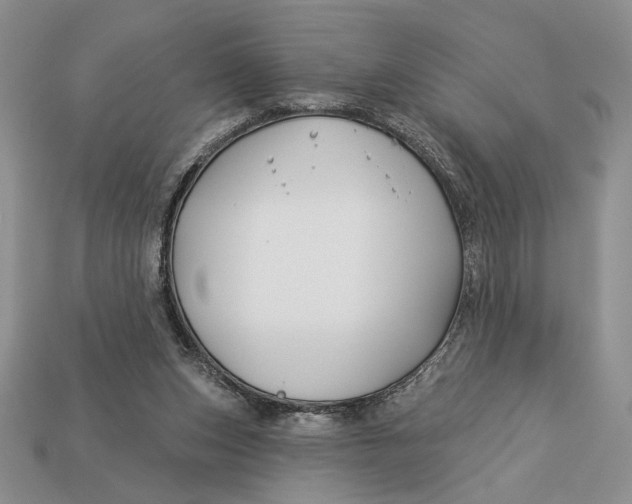 X0000112890159200909111511