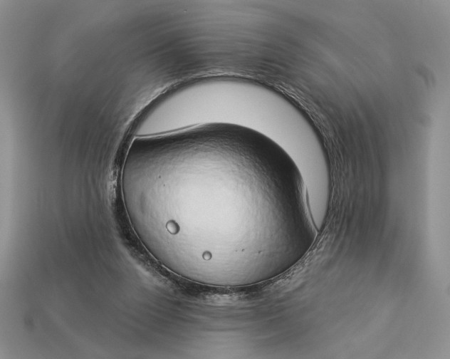 X0000112890160200909111511