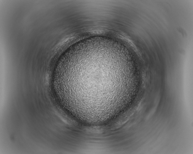 X0000112890161200909111511