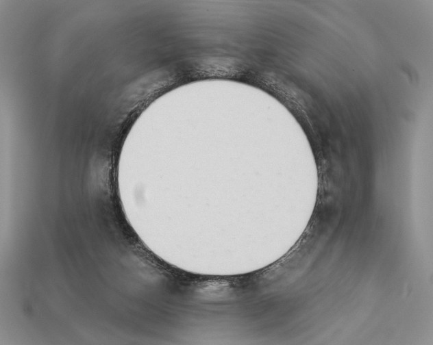X0000112890162200909111511