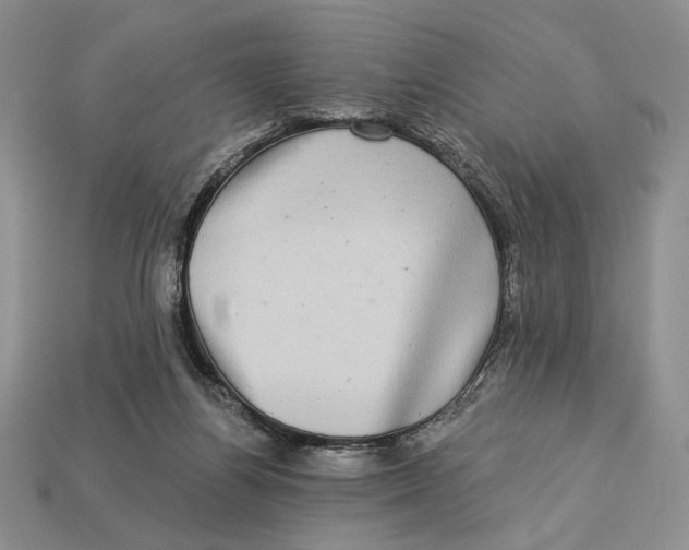 X0000112890164200909111511