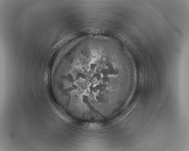 X0000112890165200909111511
