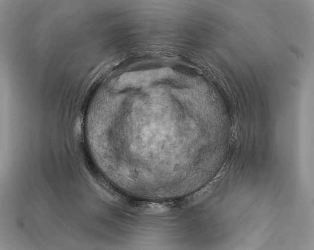 X0000112890166200909111511