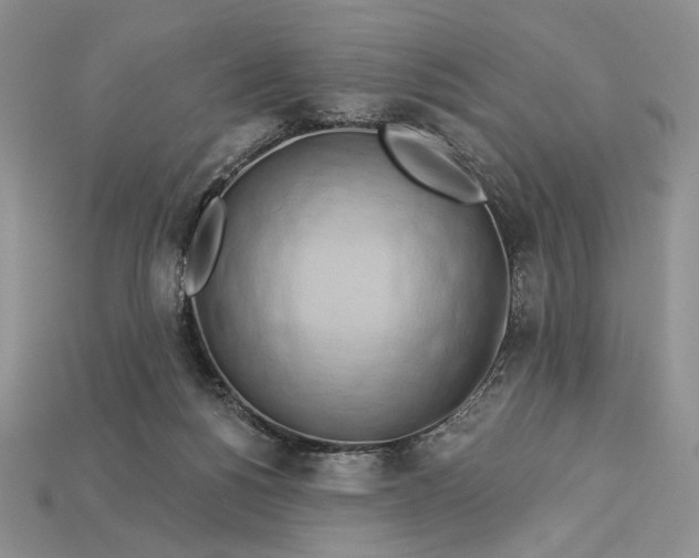 X0000112890168200909111511