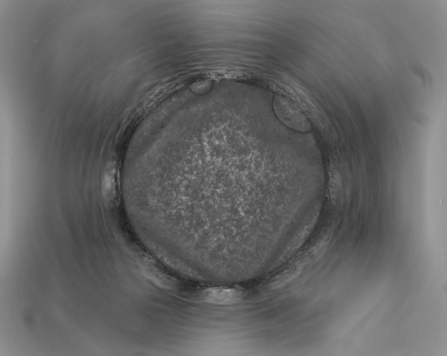 X0000112890169200909111511