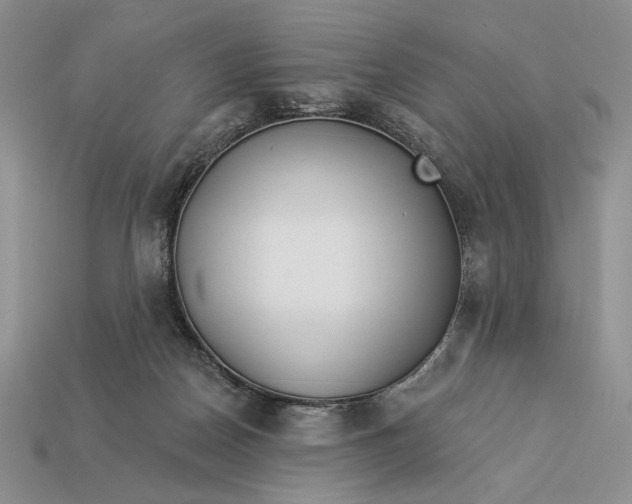 X0000112890170200909111511