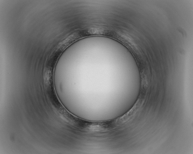 X0000112890171200909111511
