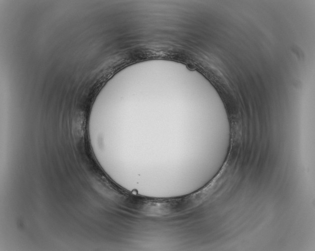 X0000112890174200909111511