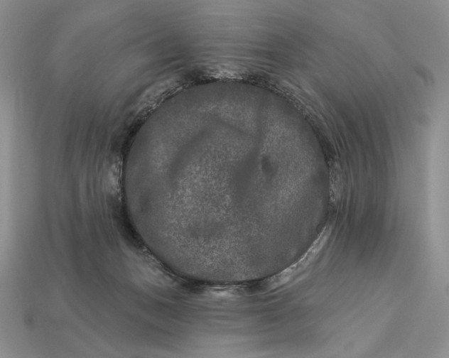 X0000112890175200909111511
