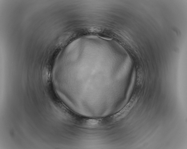 X0000112890176200909111511