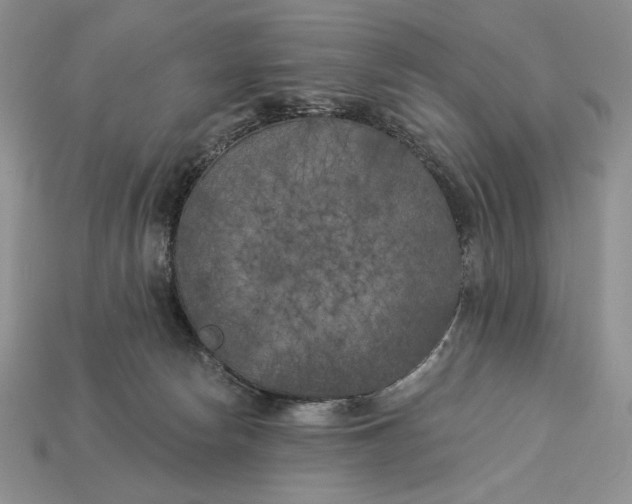 X0000112890178200909111511