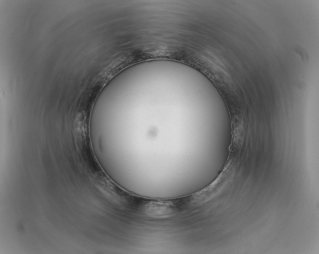X0000112890179200909111511