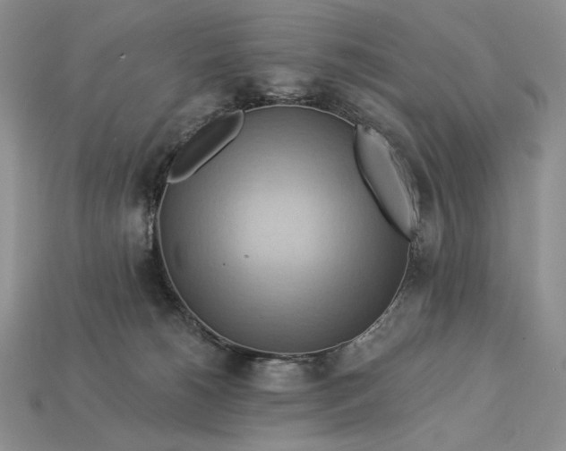 X0000112890180200909111511