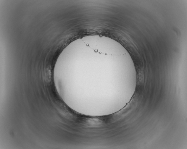X0000112890183200909111511