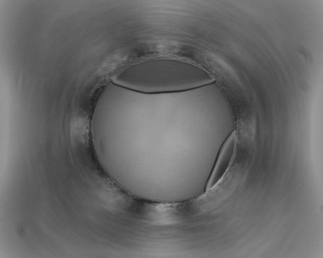 X0000112890184200909111511