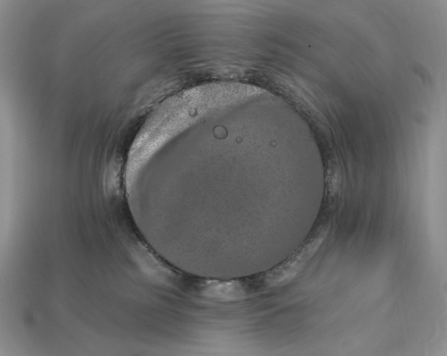 X0000112890185200909111511