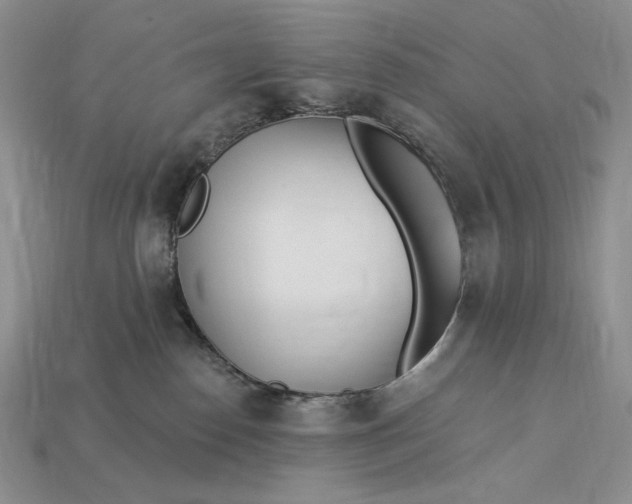 X0000112890186200909111511
