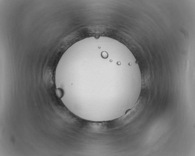 X0000112890187200909111511