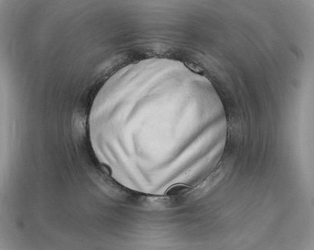 X0000112890188200909111511