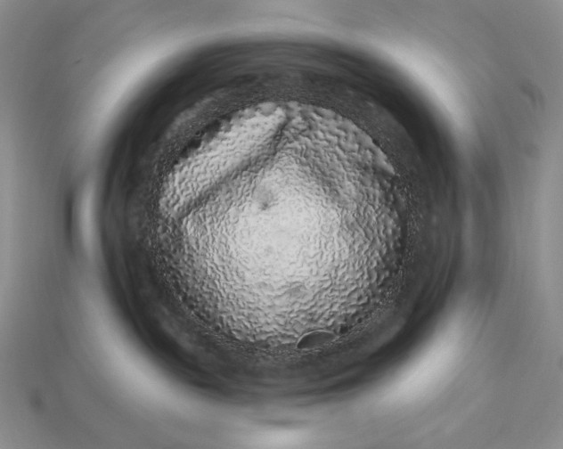 X0000112890189200909111511