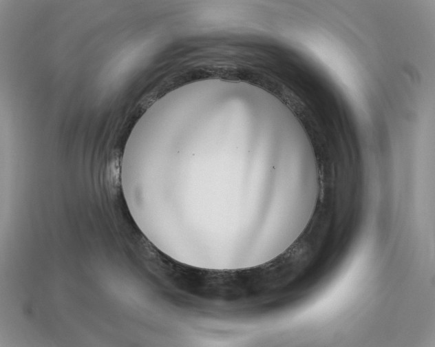 X0000112890190200909111511