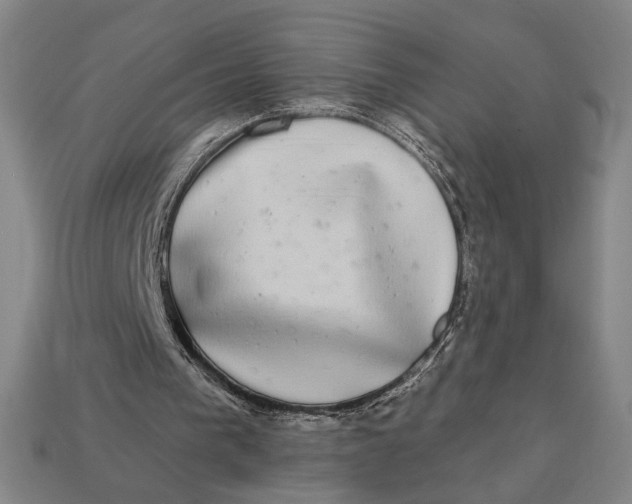 X0000112890193200909111511