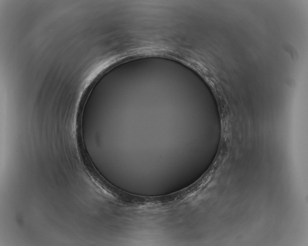 X0000112890196200909111511