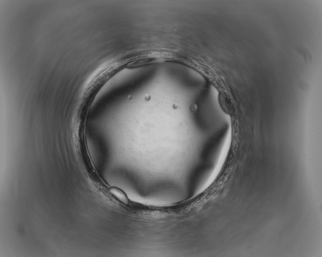 X0000112890197200909111511
