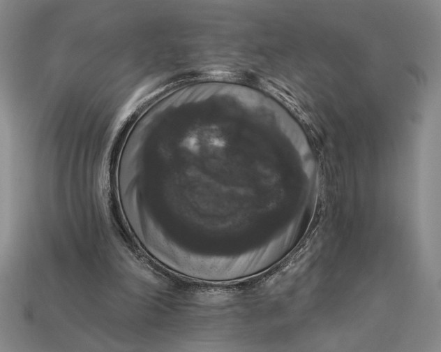 X0000112890198200909111511