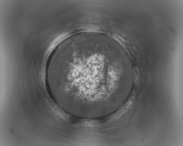 X0000112890199200909111511