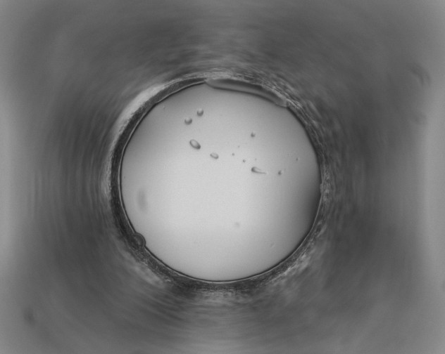 X0000112890200200909111511